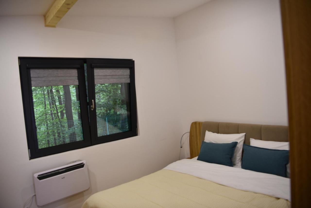Cetatuia Hotell Măgura Exteriör bild