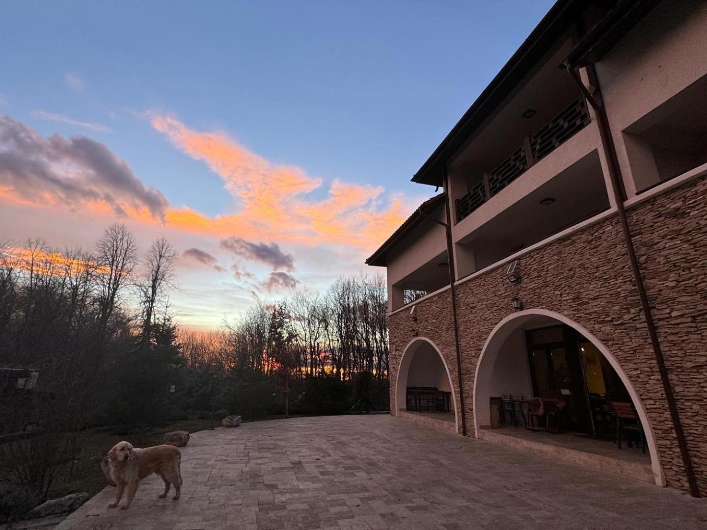 Cetatuia Hotell Măgura Exteriör bild